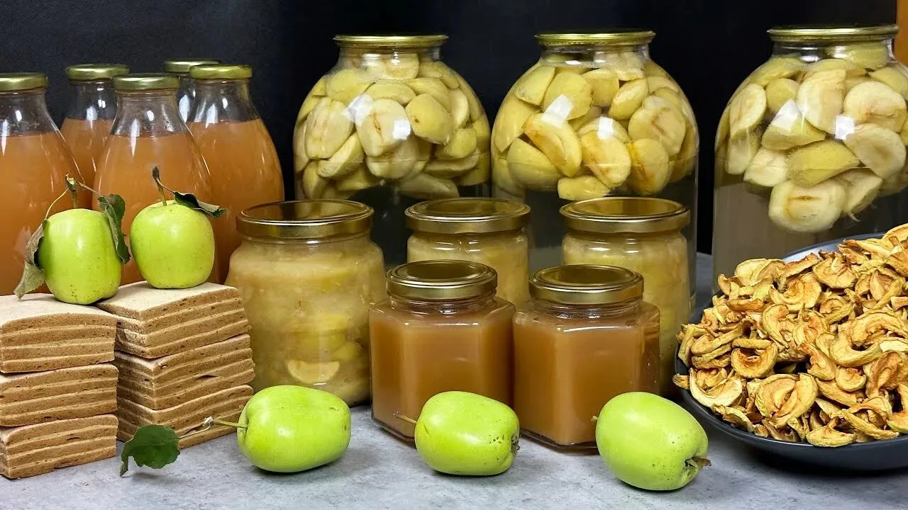 Как заготовить яблоки на зиму: лучшие рецепты сушки, пюре и компотов