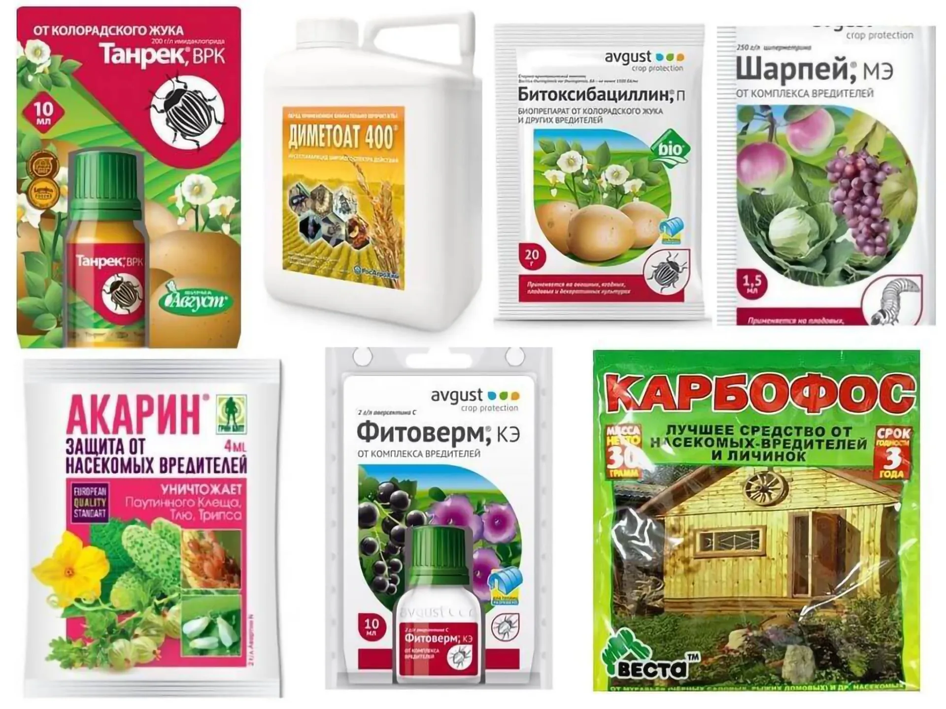 Как избавиться от тли на садовых культурах в августе: эффективные способы