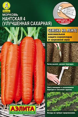 Морковь Нантская 4 (УЛУЧШЕННАЯ САХАРНАЯ)