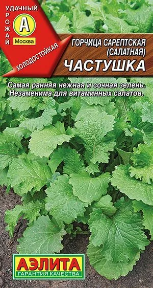 Пряные травы Горчица салатная Частушка