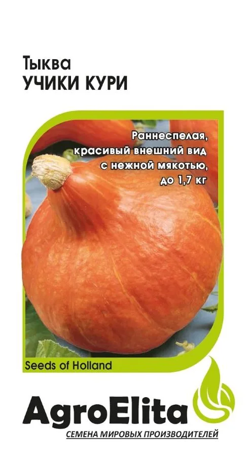 Тыква Учики Кури