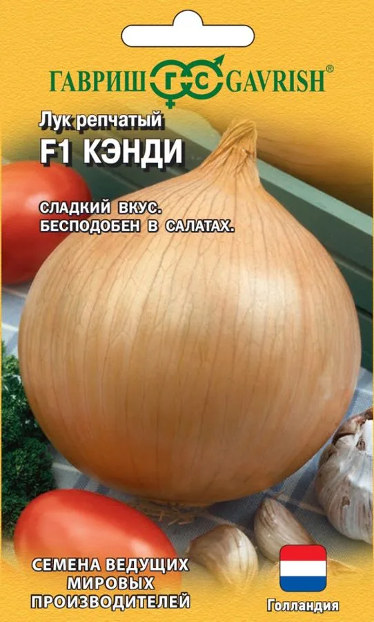 Лук репчатый Кэнди F1
