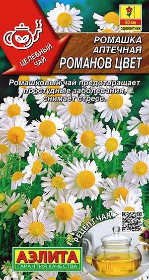 Лекарственные травы Ромашка аптечная Романов цвет