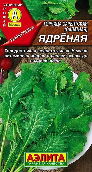 Пряные травы Горчица салатная Ядреная