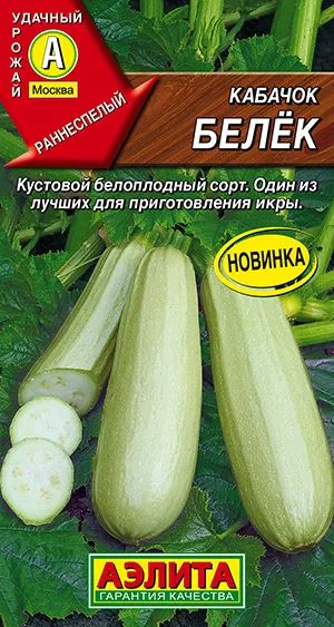 Кабачок белоплодный Белёк