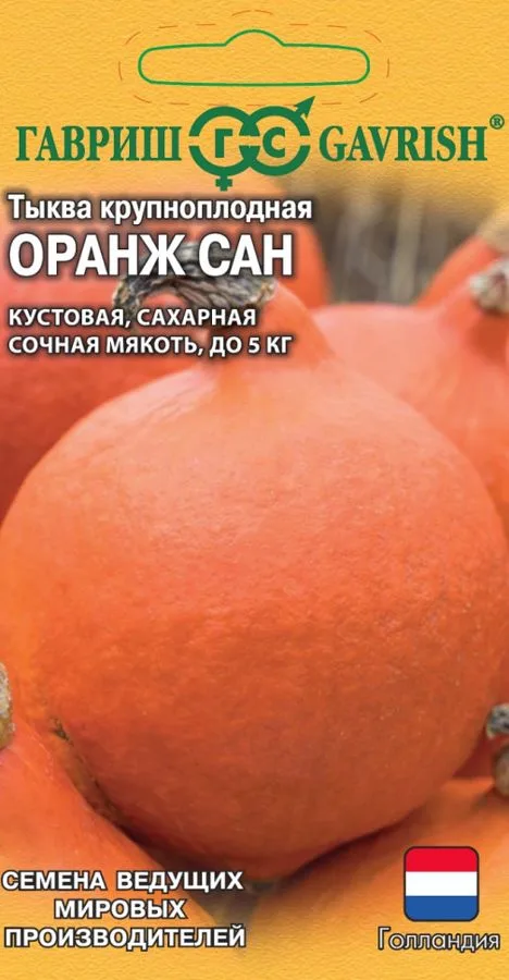 Тыква Оранж Сан