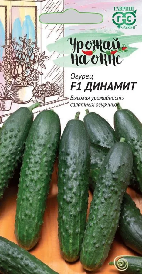 Семена: Огурец Динамит F1