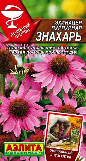 Лекарственные травы Эхинацея пурпурная Знахарь