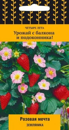 Земляника ремонтантная Розовая мечта