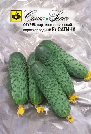Огурец Сатина F1