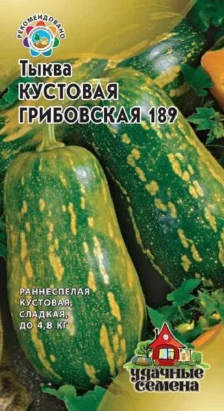 Тыква Грибовская кустовая 189