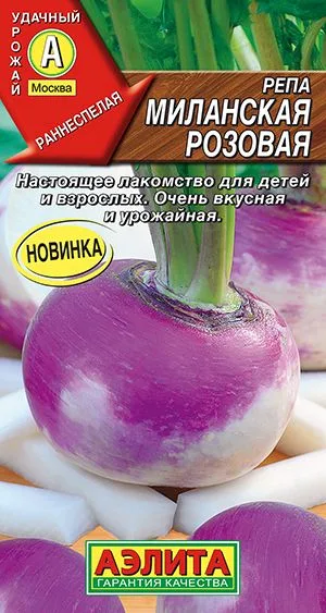 Репа Миланская розовая