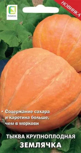 Тыква крупноплодная Землячка