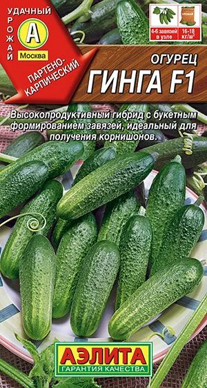 Семена: Огурец Гинга F1