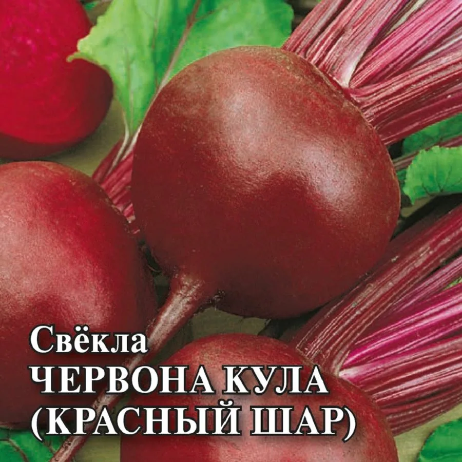 Свёкла Червона Кула
