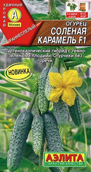 Огурец Соленая карамель F1