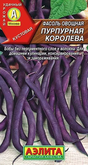 Фасоль овощная Пурпурная королева