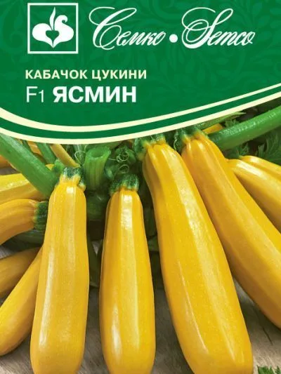 Кабачок Ясмин F1