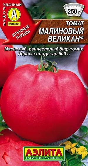 Томат Малиновый великан