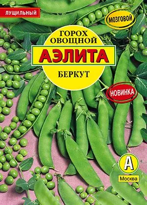 Горох овощной Беркут (обработанные семена)