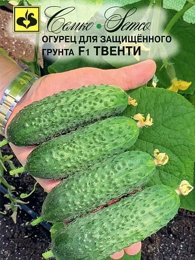 Огурец Твенти F1