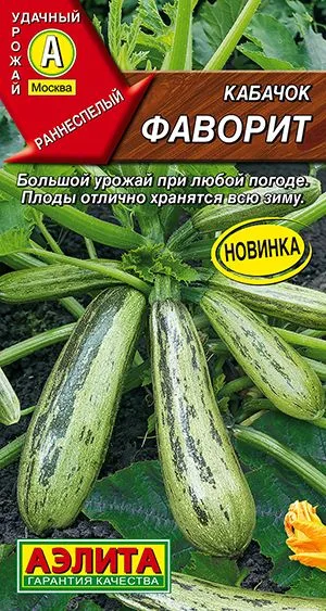 Кабачок цуккини Фаворит