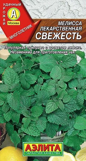 Пряные травы Мелисса лекарственная Свежесть