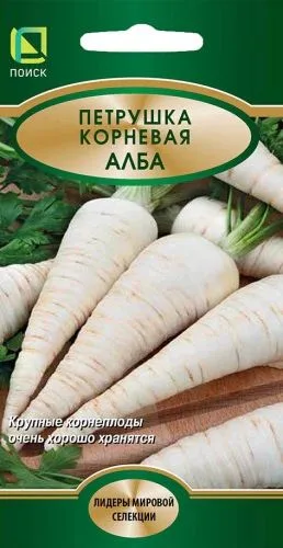 Петрушка корневая Алба