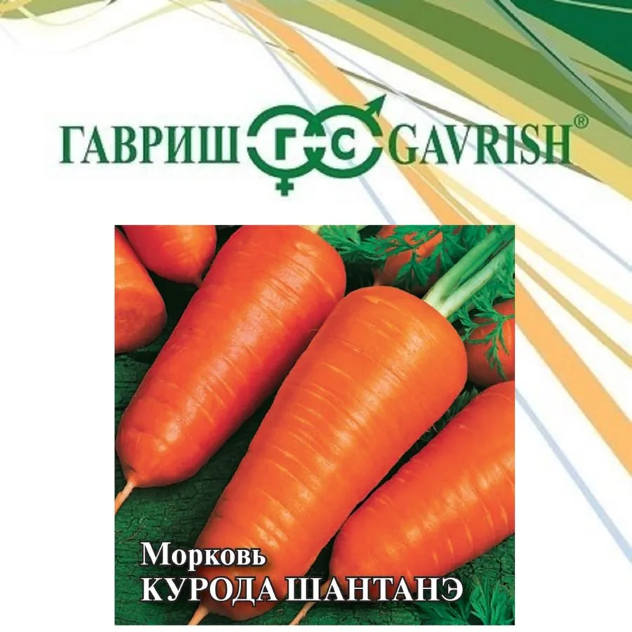 Морковь Курода Шантанэ