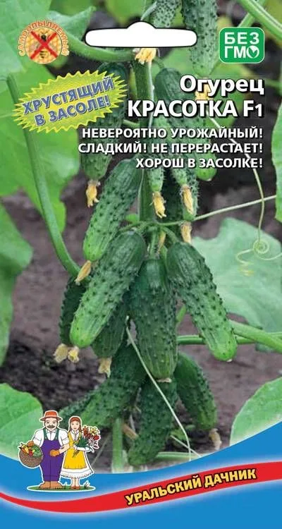 Семена: Огурец Красотка F1