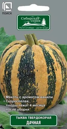 Тыква твердокорая Дачная