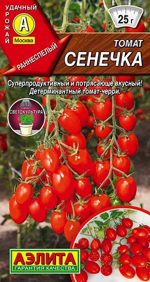 Томат Сенечка