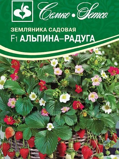 Земляника Альпина Радуга F1