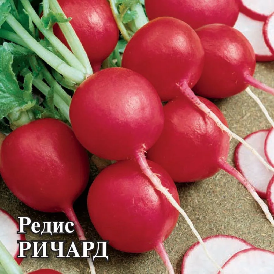 Семена: Редис Ричард
