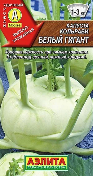Капуста кольраби Белый гигант