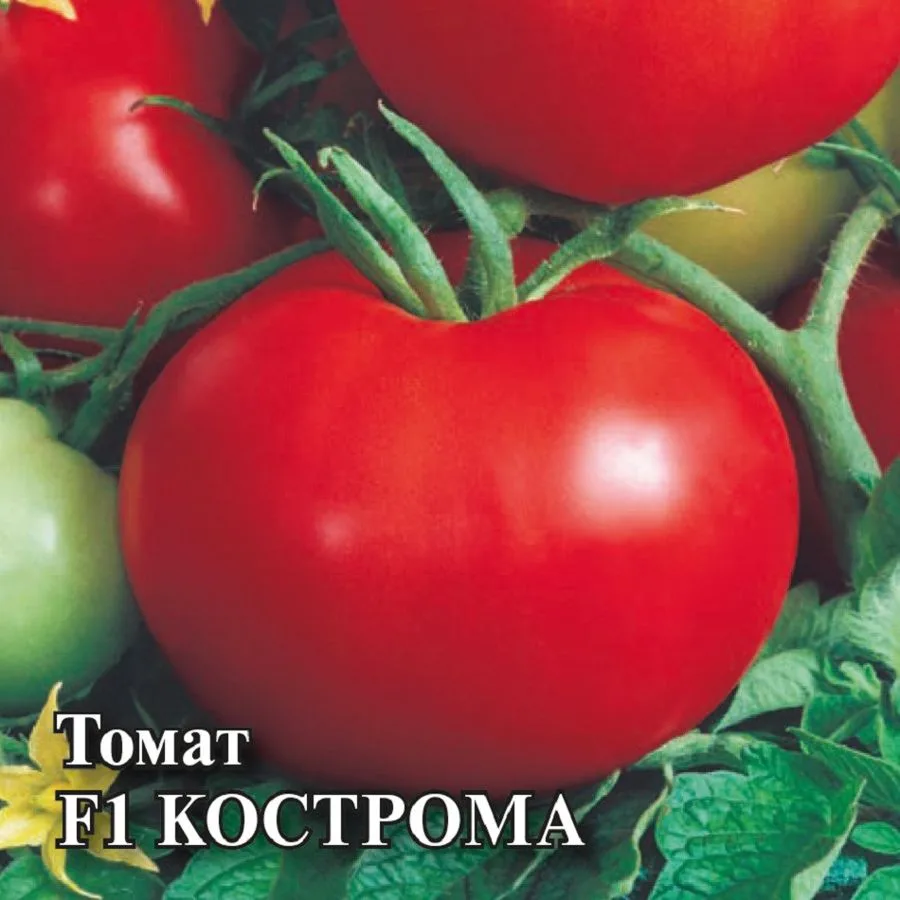 Семена: Томат Кострома F1