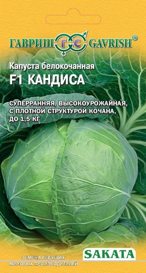 Семена: Капуста белокочанная Кандиса F1