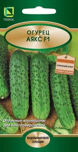 Огурец Аякс F1
