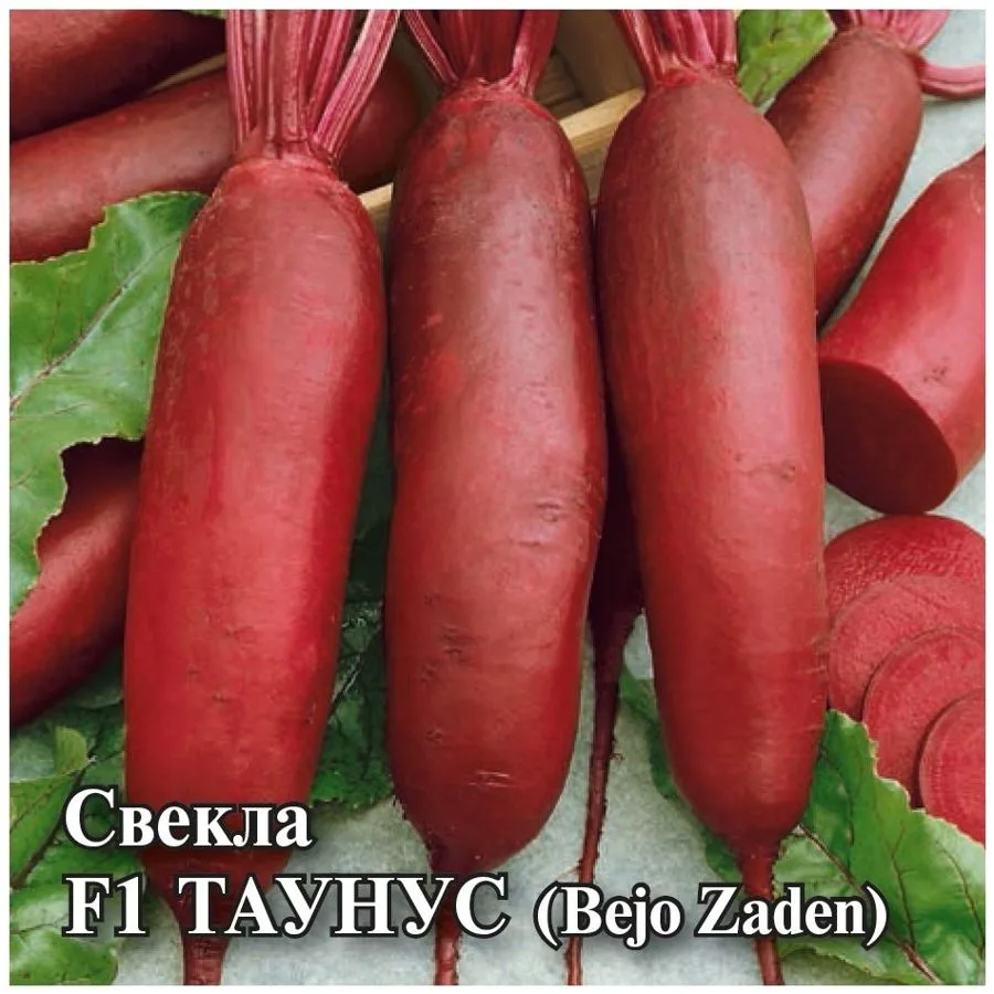 Свёкла Таунус F1