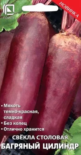 Свёкла столовая Багряный цилиндр