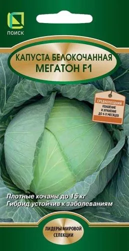 Капуста белокочанная Мегатон F1