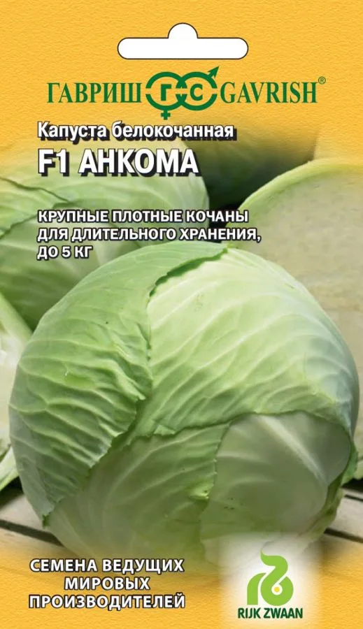 Капуста белокочанная Анкома РЗ F1