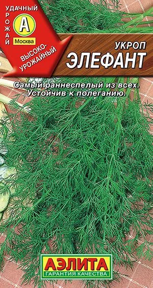 Укроп Элефант