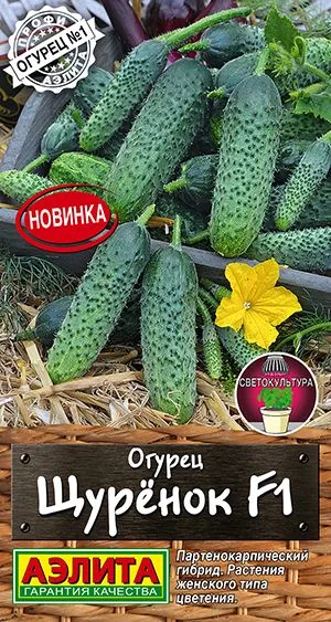 Огурец Щурёнок F1