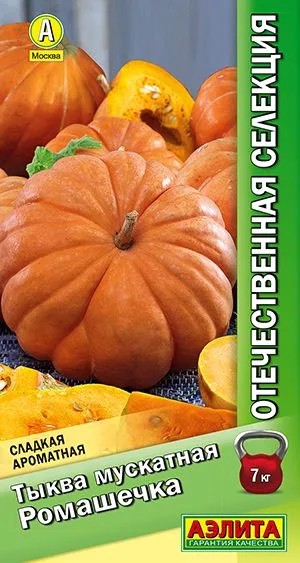 Тыква мускатная Ромашечка