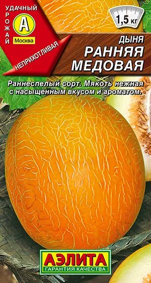 Дыня Ранняя медовая