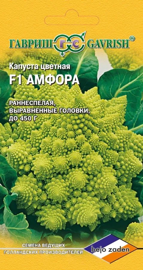 Капуста цветная Амфора