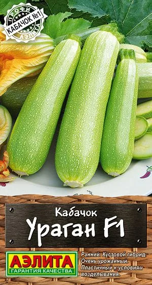 Кабачок цуккини Ураган F1
