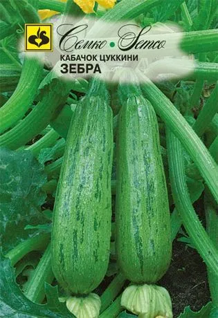 Кабачок Зебра