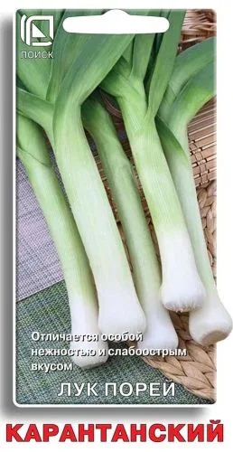 Лук порей Карантанский